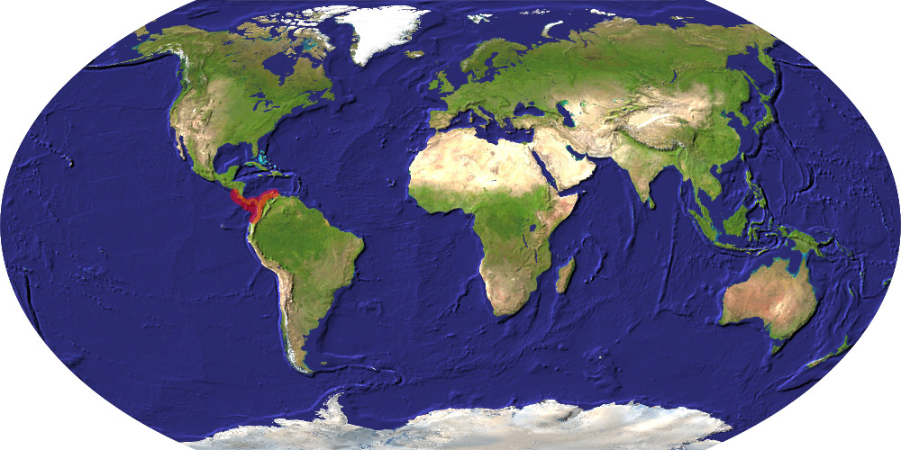 Pelliciera rhizophorae distribution